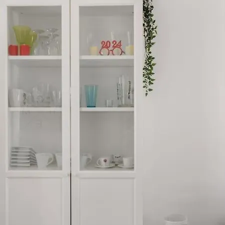 Cactus *