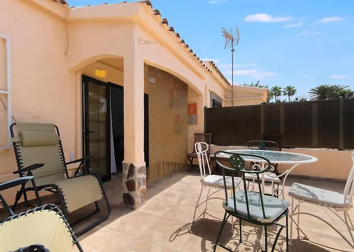 Cactus * מספאלומס