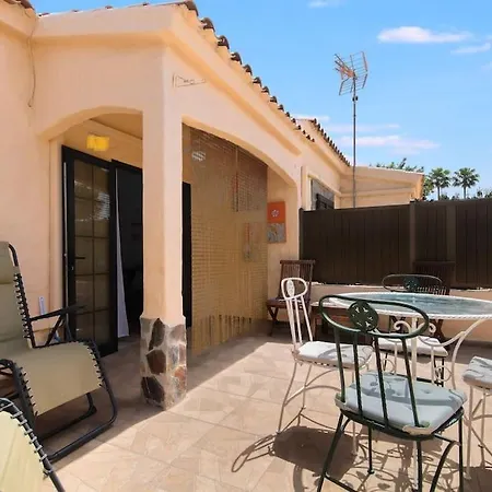 Cactus * Маспаломас