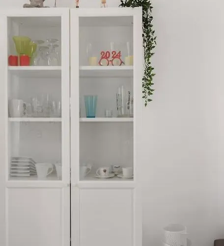 Cactus *