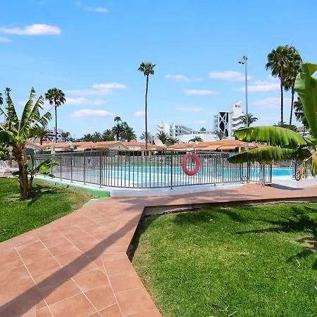 Cactus Maspalomas (Gran Canaria)